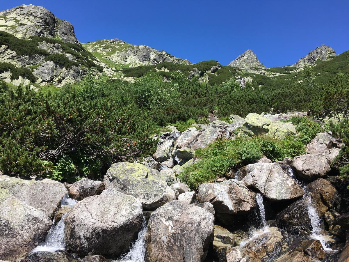 Central Apartmany Vysoké Tatry エクステリア 写真